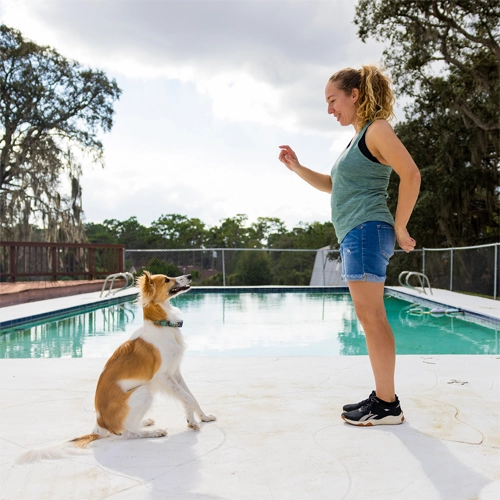 Ana Dahl, from Dahl Dog Training teaching a puppy to sit in a private training session.