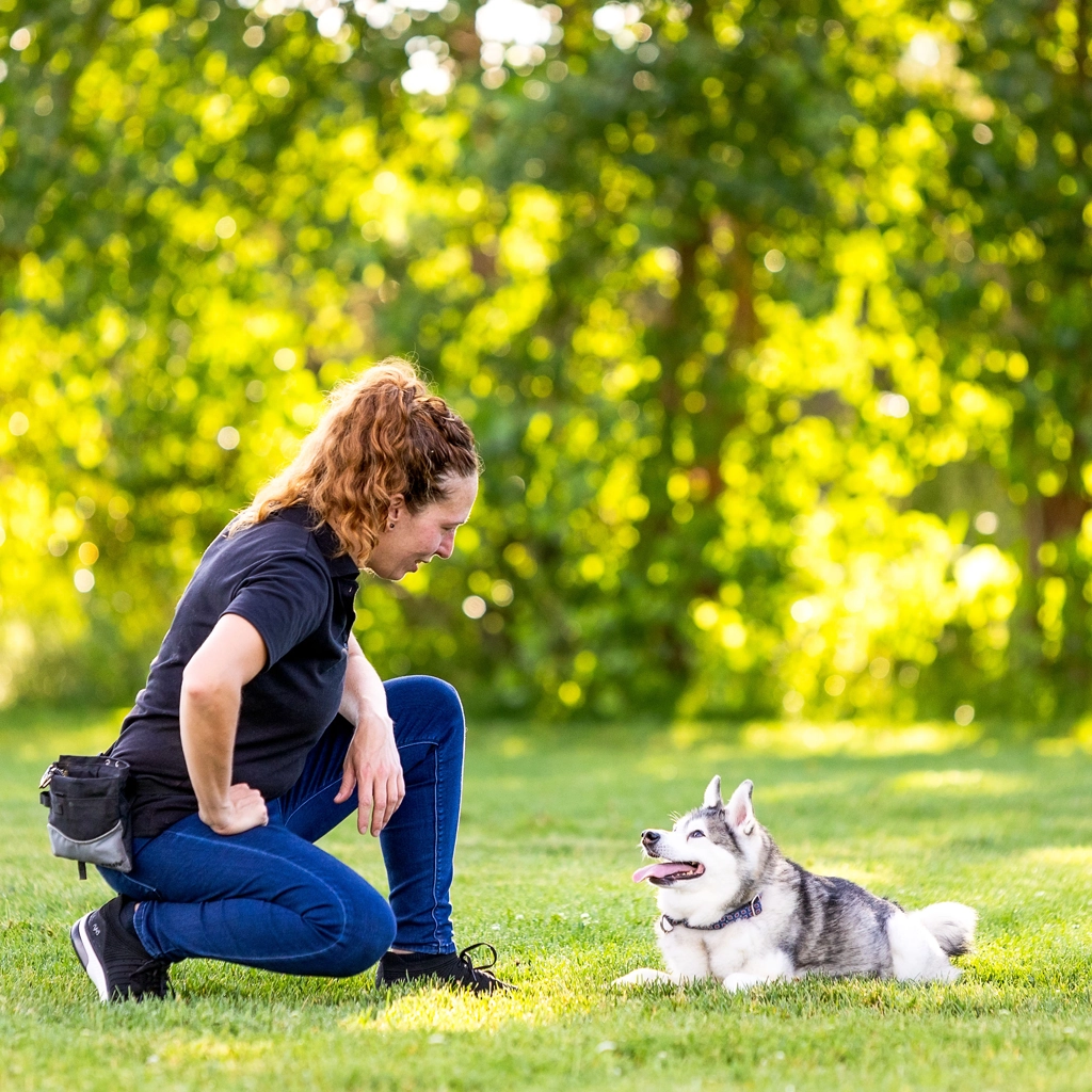 Ana Dahl training one of her puppies in the park.